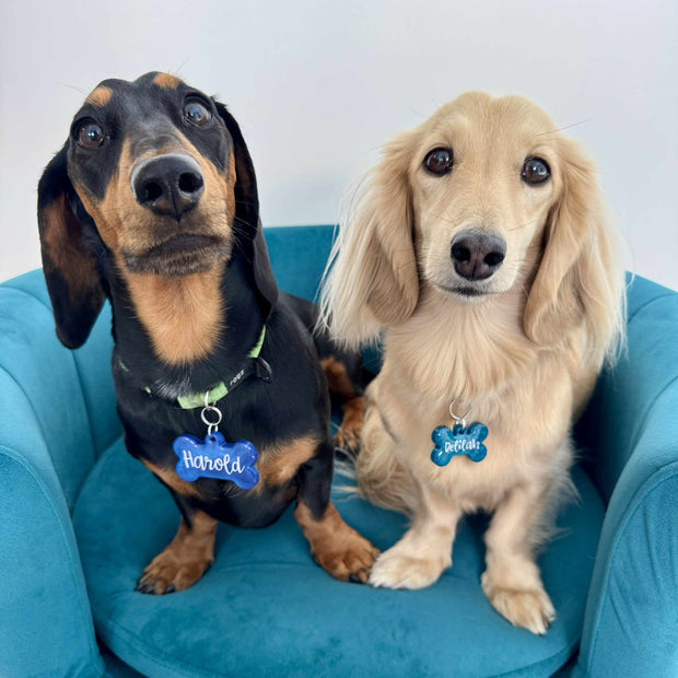 <h2>Harold & Deliliah</h2>